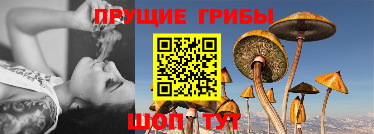 Галлюциногенные грибы GOLDEN TEACHER Благовещенск
